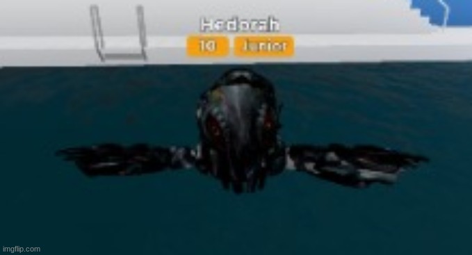 swimng | made w/ Imgflip meme maker