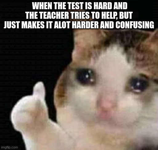 it's true hoh |  WHEN THE TEST IS HARD AND THE TEACHER TRIES TO HELP, BUT JUST MAKES IT ALOT HARDER AND CONFUSING | image tagged in sad thumbs up cat | made w/ Imgflip meme maker
