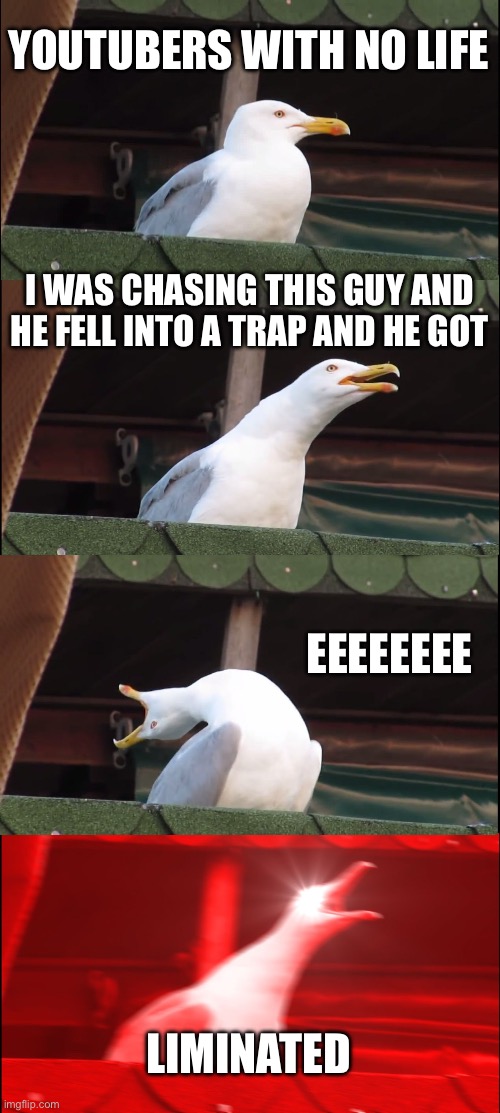 Inhaling Seagull Meme | YOUTUBERS WITH NO LIFE; I WAS CHASING THIS GUY AND HE FELL INTO A TRAP AND HE GOT; EEEEEEEE; LIMINATED | image tagged in memes,inhaling seagull | made w/ Imgflip meme maker