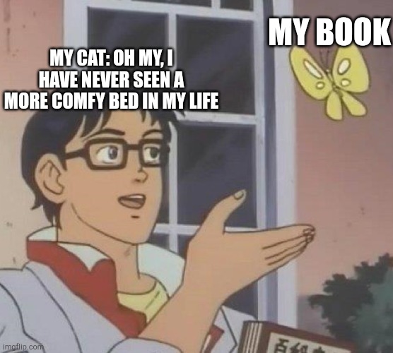 Is This A Pigeon | MY BOOK; MY CAT: OH MY, I HAVE NEVER SEEN A MORE COMFY BED IN MY LIFE | image tagged in memes,is this a pigeon | made w/ Imgflip meme maker