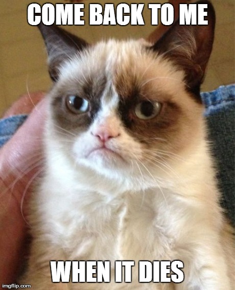 Grumpy Cat Meme | COME BACK TO ME WHEN IT DIES | image tagged in memes,grumpy cat | made w/ Imgflip meme maker