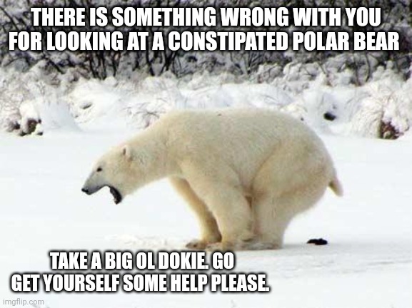 Polar Bear Shits in the Snow | THERE IS SOMETHING WRONG WITH YOU FOR LOOKING AT A CONSTIPATED POLAR BEAR; TAKE A BIG OL DOKIE. GO GET YOURSELF SOME HELP PLEASE. | image tagged in polar bear shits in the snow | made w/ Imgflip meme maker