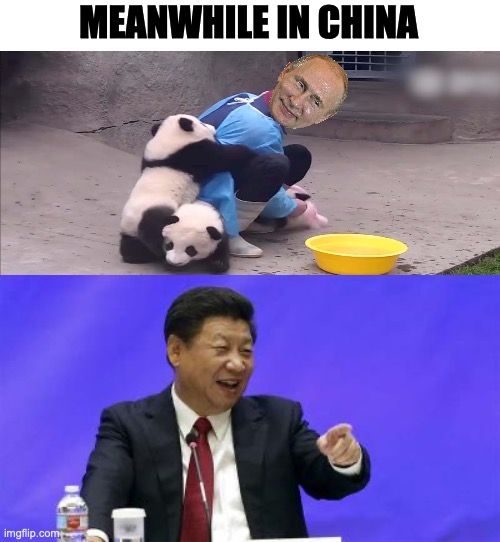 Putin is an ally of China and loves his bears, China + Bear = Panda | MEANWHILE IN CHINA | image tagged in xi jinping laughing,putin,russophila,meanwhile in china,panda,sinophila | made w/ Imgflip meme maker