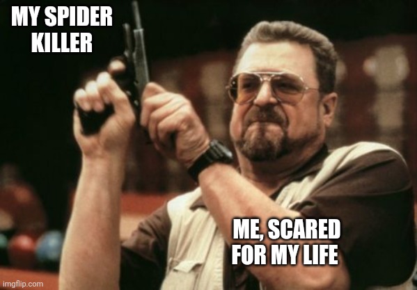 Am I The Only One Around Here | MY SPIDER KILLER; ME, SCARED FOR MY LIFE | image tagged in memes,am i the only one around here | made w/ Imgflip meme maker