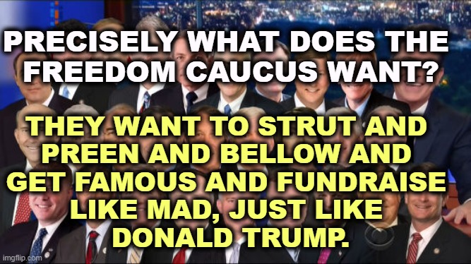 Helping you has nothing to do with it. | PRECISELY WHAT DOES THE 
FREEDOM CAUCUS WANT? THEY WANT TO STRUT AND 
PREEN AND BELLOW AND 
GET FAMOUS AND FUNDRAISE 
LIKE MAD, JUST LIKE 
DONALD TRUMP. | image tagged in radical,republicans,greedy,stupid | made w/ Imgflip meme maker