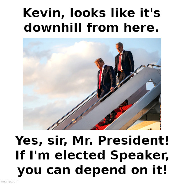 Kevin McCarthy: Downhill From Here! | image tagged in kevin mccarthy,rino,donald trump,embarrassed,lauren boebert,just say no | made w/ Imgflip meme maker