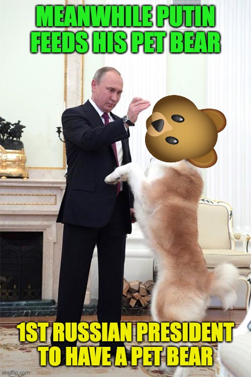 Apparently Putin's dog has died, so he got a pet bear instead | MEANWHILE PUTIN FEEDS HIS PET BEAR; 1ST RUSSIAN PRESIDENT TO HAVE A PET BEAR | image tagged in russian,propaganda,putin,loves,his,bears | made w/ Imgflip meme maker