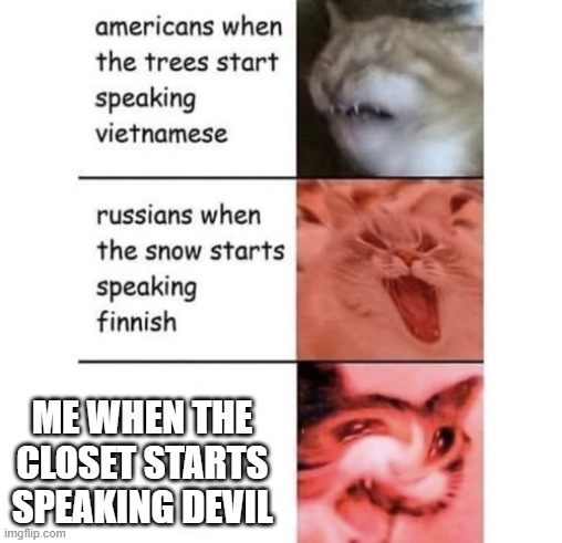 dark closet is scary | ME WHEN THE CLOSET STARTS SPEAKING DEVIL | image tagged in snow speaking finnish | made w/ Imgflip meme maker