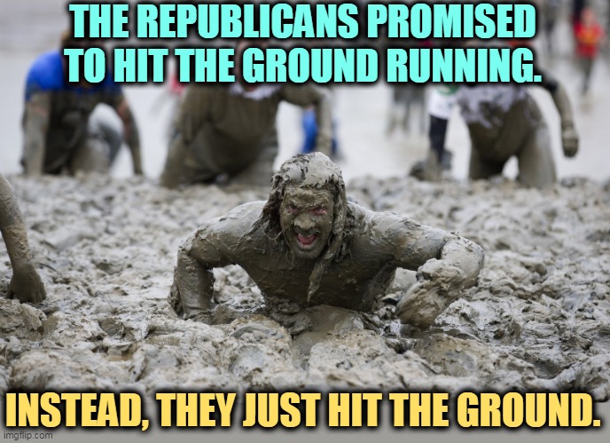THE REPUBLICANS PROMISED TO HIT THE GROUND RUNNING. INSTEAD, THEY JUST HIT THE GROUND. | image tagged in republicans,idiots,jerks,nuts | made w/ Imgflip meme maker