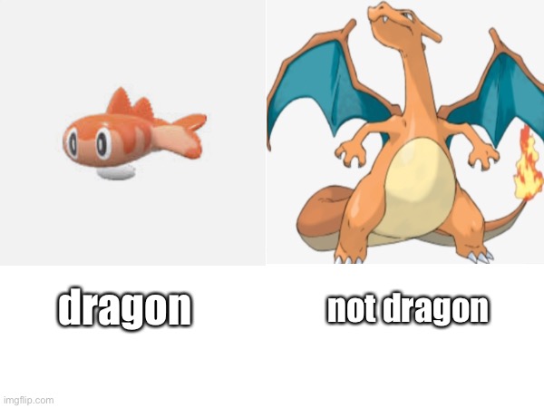 dragon; not dragon | made w/ Imgflip meme maker