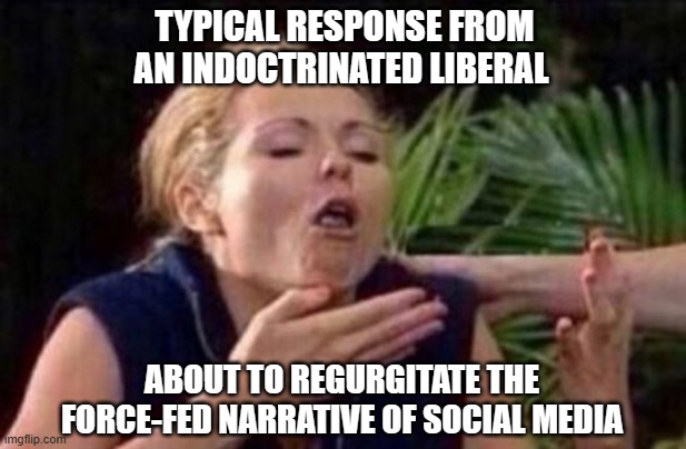 We're all about to be sick | TYPICAL RESPONSE FROM AN INDOCTRINATED LIBERAL; ABOUT TO REGURGITATE THE FORCE-FED NARRATIVE OF SOCIAL MEDIA | image tagged in liberals,democrats,woke,social justice warriors,leftists,progressives | made w/ Imgflip meme maker