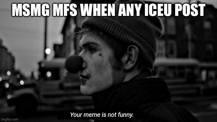 Your meme is not funny | MSMG MFS WHEN ANY ICEU POST | image tagged in your meme is not funny | made w/ Imgflip meme maker