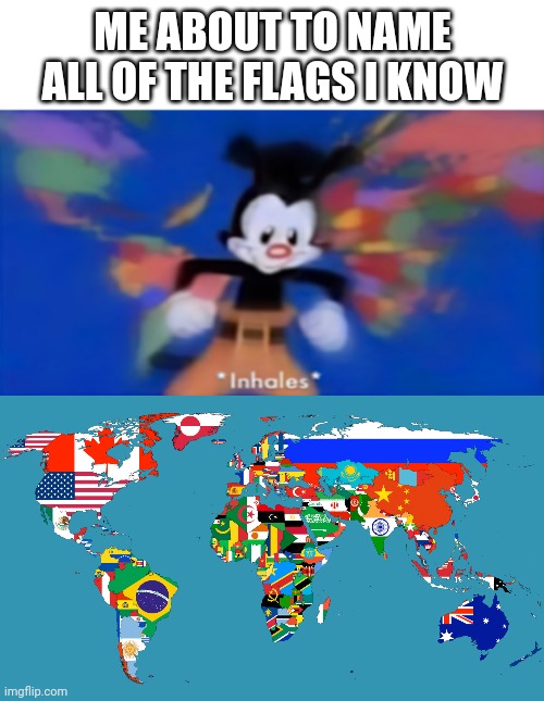 ME ABOUT TO NAME ALL OF THE FLAGS I KNOW | image tagged in yakko inhale,world map | made w/ Imgflip meme maker