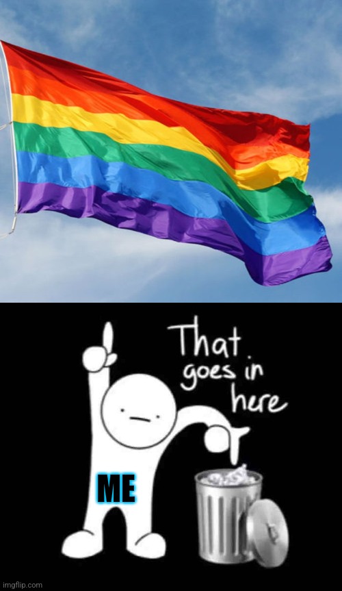 ME | image tagged in that goes in here | made w/ Imgflip meme maker