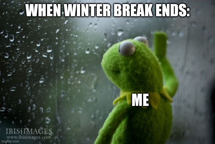 I think we can all agree on this. | WHEN WINTER BREAK ENDS:; ME | image tagged in kermit window | made w/ Imgflip meme maker