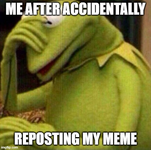 Kermit Facepalm | ME AFTER ACCIDENTALLY; REPOSTING MY MEME | image tagged in kermit facepalm | made w/ Imgflip meme maker