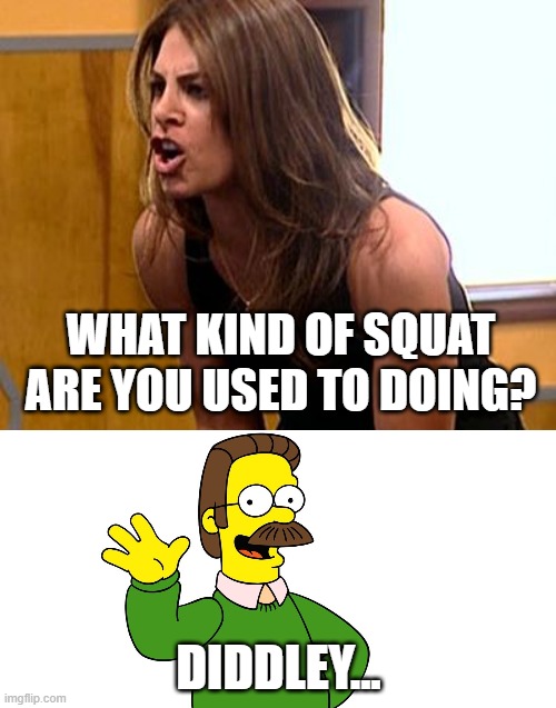 WHAT KIND OF SQUAT ARE YOU USED TO DOING? DIDDLEY... | image tagged in jillian michaels,ned flanders wave | made w/ Imgflip meme maker