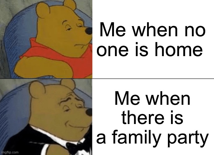 Winnie | Me when no one is home; Me when there is a family party | image tagged in memes,tuxedo winnie the pooh | made w/ Imgflip meme maker