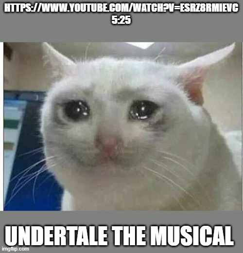 https://www.youtube.com/watch?v=EsRZ8rmiEVc I AM CRYING SO HARD RIGHT NOW AAAAAAHHHHHHHHHHH | HTTPS://WWW.YOUTUBE.COM/WATCH?V=ESRZ8RMIEVC
5:25; UNDERTALE THE MUSICAL | image tagged in crying cat | made w/ Imgflip meme maker