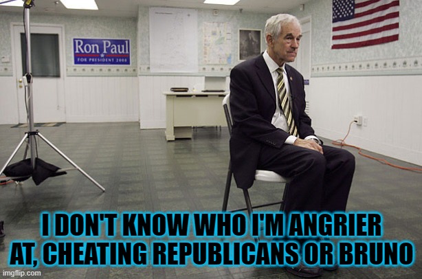 Ron Paul dissapoint | I DON'T KNOW WHO I'M ANGRIER AT, CHEATING REPUBLICANS OR BRUNO | image tagged in ron paul dissapoint | made w/ Imgflip meme maker