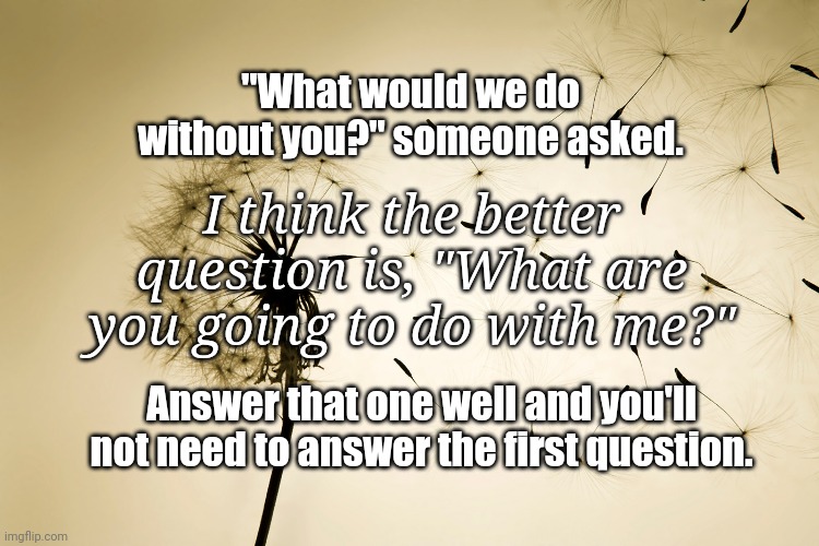 Dandelion | "What would we do without you?" someone asked. I think the better question is, "What are you going to do with me?"; Answer that one well and you'll not need to answer the first question. | image tagged in dandelion | made w/ Imgflip meme maker