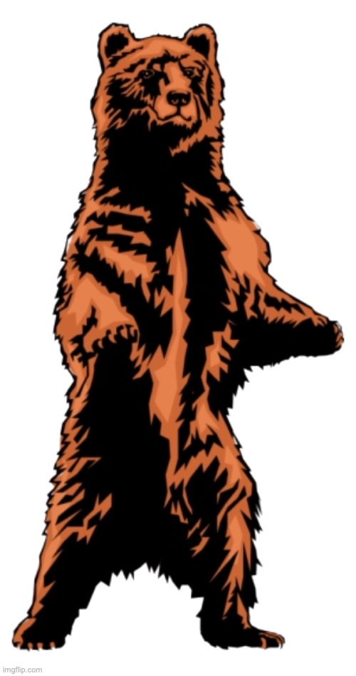 Bear PNG, use it to make memes about bears | image tagged in bear png | made w/ Imgflip meme maker
