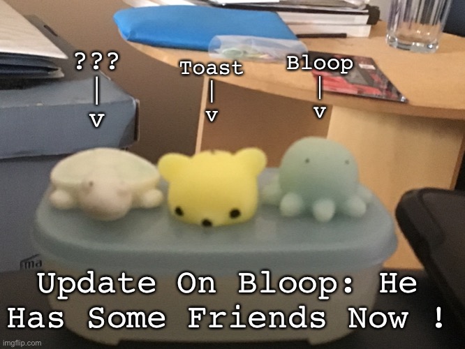 Soz for the terrible quality, leave name suggestions for the turtle in the comments! ^^ | Bloop
|
v; ???
|
v; Toast
|
v; Update On Bloop: He Has Some Friends Now ! | image tagged in bloop | made w/ Imgflip meme maker