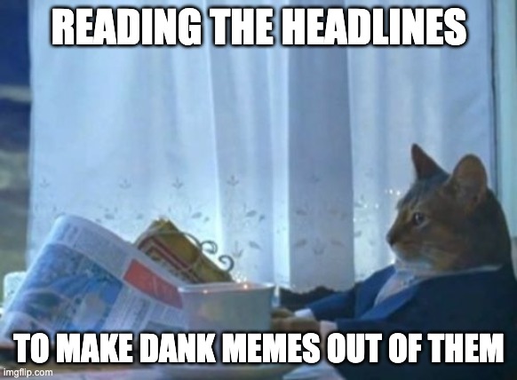 reading the headlines | READING THE HEADLINES; TO MAKE DANK MEMES OUT OF THEM | image tagged in memes,i should buy a boat cat | made w/ Imgflip meme maker