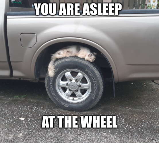 Asleep at the wheel | YOU ARE ASLEEP; AT THE WHEEL | image tagged in asleep at the wheel | made w/ Imgflip meme maker