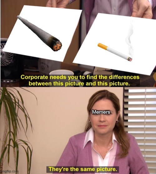 They're The Same Picture Meme | Memers | image tagged in memes,they're the same picture | made w/ Imgflip meme maker