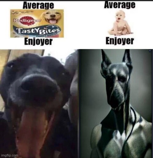 tasty | image tagged in dog,memes,funny memes,funny,meme | made w/ Imgflip meme maker