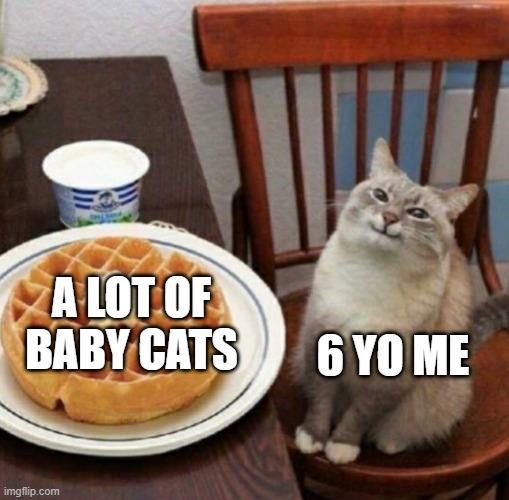 I have a lot of baby cats |  A LOT OF BABY CATS; 6 YO ME | image tagged in cat likes their waffle,memes | made w/ Imgflip meme maker