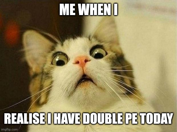 Pe is boring | ME WHEN I; REALISE I HAVE DOUBLE PE TODAY | image tagged in memes,scared cat | made w/ Imgflip meme maker