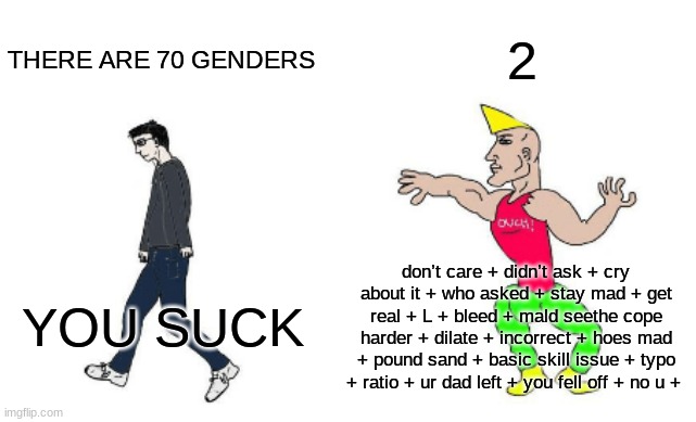 Virgin Vs Chad | 2; THERE ARE 70 GENDERS; don’t care + didn’t ask + cry about it + who asked + stay mad + get real + L + bleed + mald seethe cope harder + dilate + incorrect + hoes mad + pound sand + basic skill issue + typo + ratio + ur dad left + you fell off + no u +; YOU SUCK | image tagged in virgin vs chad | made w/ Imgflip meme maker
