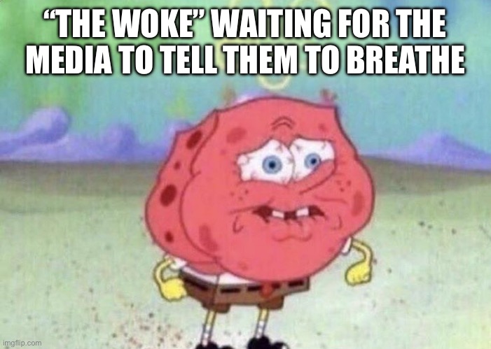 Spongebob Holding Breath | “THE WOKE” WAITING FOR THE MEDIA TO TELL THEM TO BREATHE | image tagged in spongebob holding breath | made w/ Imgflip meme maker