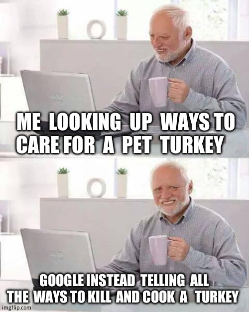 Learn to  read  google. | ME  LOOKING  UP  WAYS TO  CARE FOR  A  PET  TURKEY; GOOGLE INSTEAD  TELLING  ALL THE  WAYS TO KILL  AND COOK  A   TURKEY | image tagged in memes,hide the pain harold,google search | made w/ Imgflip meme maker