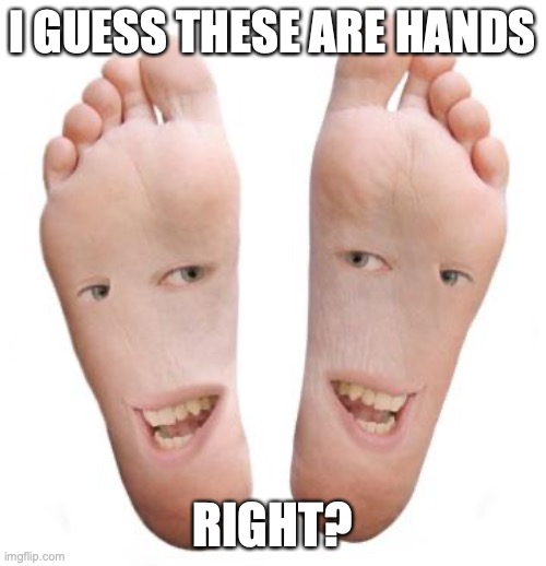 feet | I GUESS THESE ARE HANDS RIGHT? | image tagged in feet | made w/ Imgflip meme maker