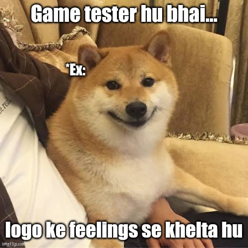 roasting ex | Game tester hu bhai... *Ex:; logo ke feelings se khelta hu | image tagged in memes | made w/ Imgflip meme maker