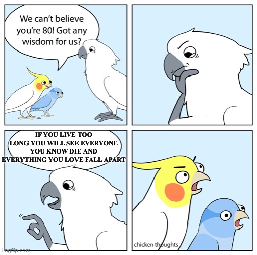 Chicken Thoughts: The wise old bird | IF YOU LIVE TOO LONG YOU WILL SEE EVERYONE YOU KNOW DIE AND EVERYTHING YOU LOVE FALL APART | image tagged in chicken thoughts the wise old bird | made w/ Imgflip meme maker