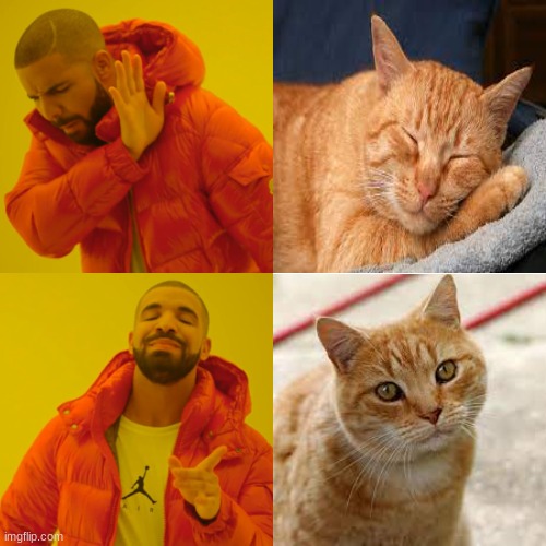 Drake Hotline Bling Meme | image tagged in memes,drake hotline bling | made w/ Imgflip meme maker