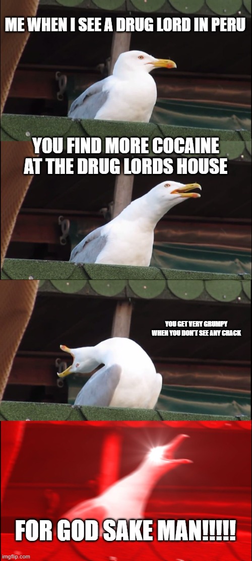 Inhaling Seagull | ME WHEN I SEE A DRUG LORD IN PERU; YOU FIND MORE COCAINE AT THE DRUG LORDS HOUSE; YOU GET VERY GRUMPY WHEN YOU DON'T SEE ANY CRACK; FOR GOD SAKE MAN!!!!! | image tagged in memes,inhaling seagull | made w/ Imgflip meme maker