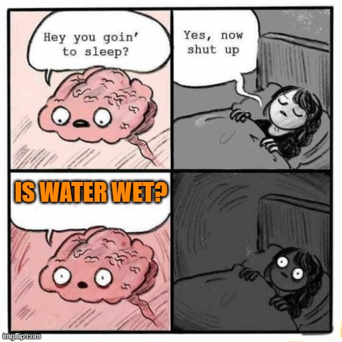 Hey you going to sleep? | IS WATER WET? | image tagged in hey you going to sleep | made w/ Imgflip meme maker
