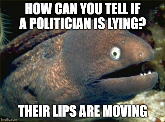The problem with political jokes is they get elected | HOW CAN YOU TELL IF A POLITICIAN IS LYING? THEIR LIPS ARE MOVING | image tagged in memes,bad joke eel | made w/ Imgflip meme maker