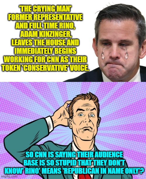 Yep . . . pretty much. | 'THE CRYING MAN' FORMER REPRESENTATIVE AND FULL TIME RINO,  ADAM KINZINGER, LEAVES THE HOUSE AND IMMEDIATELY BEGINS WORKING FOR CNN AS THEIR TOKEN 'CONSERVATIVE' VOICE. SO CNN IS SAYING THEIR AUDIENCE BASE IS SO STUPID THAT THEY DON'T KNOW' RINO' MEANS 'REPUBLICAN IN NAME ONLY'? | image tagged in rino | made w/ Imgflip meme maker