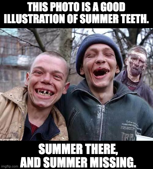 Summer | THIS PHOTO IS A GOOD ILLUSTRATION OF SUMMER TEETH. SUMMER THERE, AND SUMMER MISSING. | image tagged in bad pun,summer,teeth | made w/ Imgflip meme maker