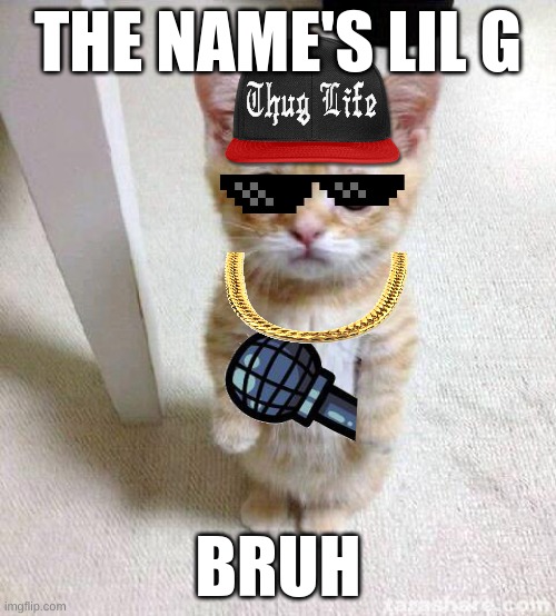 Lil' G | THE NAME'S LIL G; BRUH | image tagged in memes,cute cat | made w/ Imgflip meme maker