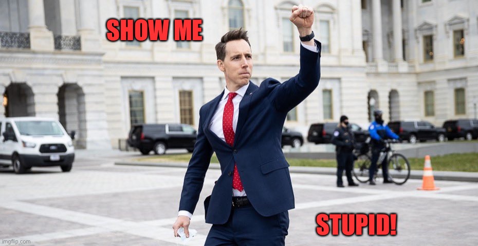 Traitor Josh Hawley | SHOW ME; STUPID! | image tagged in traitor josh hawley | made w/ Imgflip meme maker