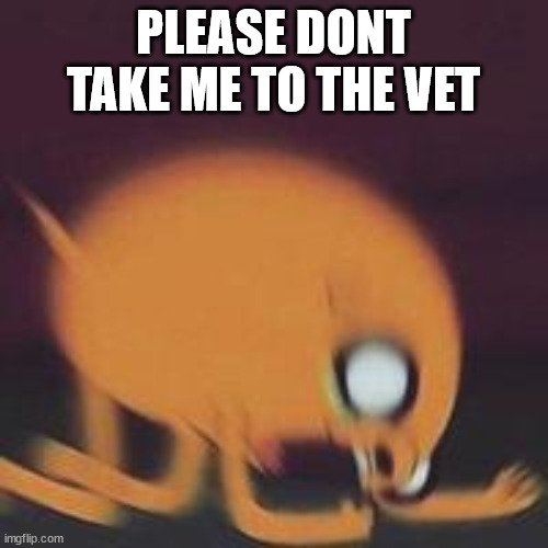 Jake Screaming | PLEASE DONT TAKE ME TO THE VET | image tagged in jake screaming | made w/ Imgflip meme maker