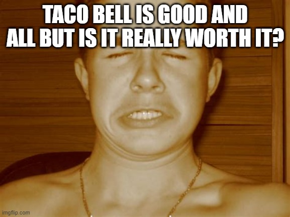 when you have taco bell | TACO BELL IS GOOD AND ALL BUT IS IT REALLY WORTH IT? | image tagged in funny,taco bell,constipation | made w/ Imgflip meme maker