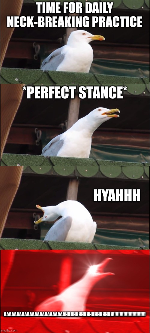 Inhaling Seagull Meme | TIME FOR DAILY NECK-BREAKING PRACTICE; *PERFECT STANCE*; HYAHHH; AAAAAAAAAAAAAAAAAAAAAAAAHHHHHHHHHHHHHHHHHH!!!!!!!!!!!!!!!!!!!!!!!!! | image tagged in memes,inhaling seagull | made w/ Imgflip meme maker